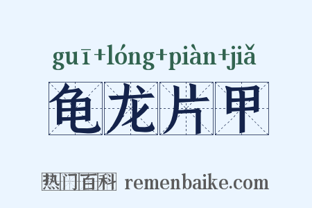龟龙片甲是什么意思的图片